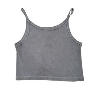 Brandy Melville Gray Ribbed Crop Top